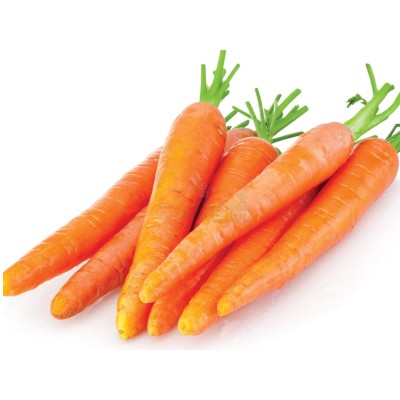 Морковь молодая 1 кг - купить в Птицефабрике