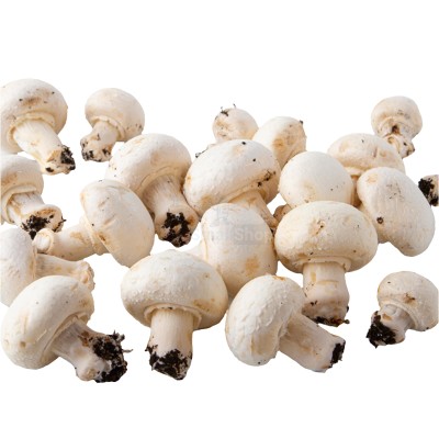 Шампиньоны свежие 500 г - купить в Птицефабрике